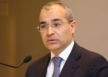 Azerbaijani minister talks amount of requested business loans via new e-platform in 2020